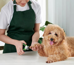 Paw Originals Professional Grade Dog Nail Clippers