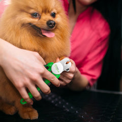 Paw Originals Professional Grade Dog Nail Clippers