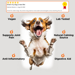 Orange County - CBD HEMP OIL - 30,000mg - Calming & Joint