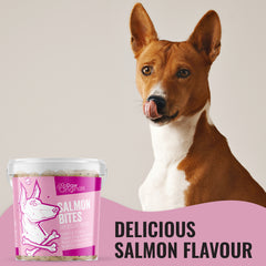 Paw Originals Salmon Dog Treat Biscuits