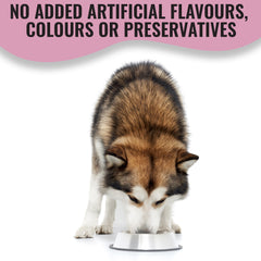 Paw Originals Salmon Dog Treat Biscuits