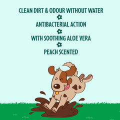 GoodBoy - Large Compostable Wipes - 10 Large Wipes