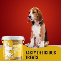 Paw Originals Chicken Gravy Bite Treats For Dogs
