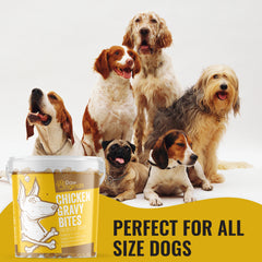 Paw Originals Chicken Gravy Bite Treats For Dogs